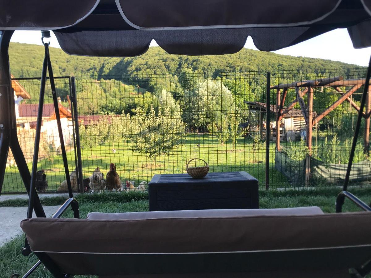 Apartament La Vila Curtea de Argeş Extérieur photo