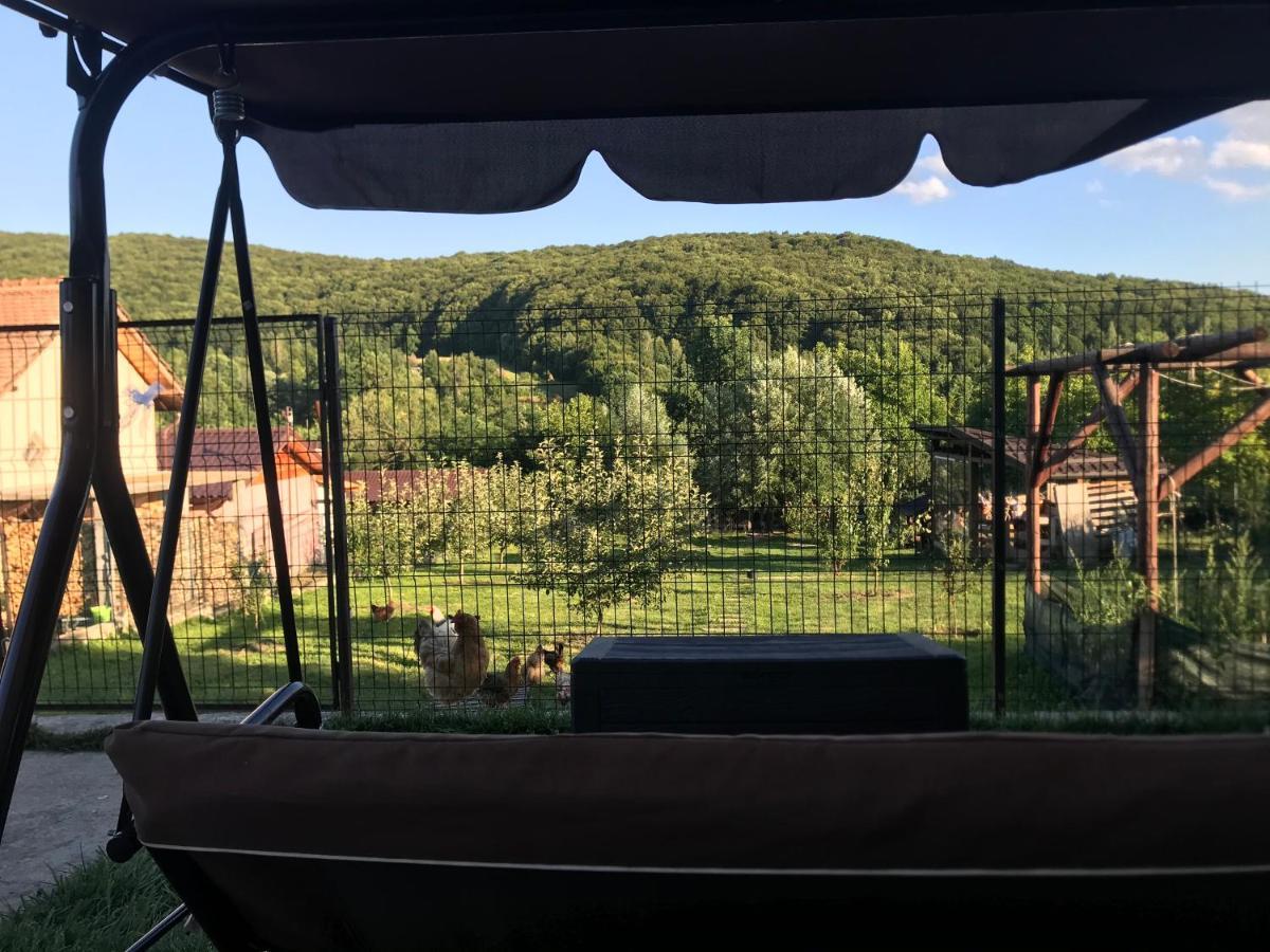 Apartament La Vila Curtea de Argeş Extérieur photo